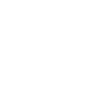 Logo Faro (3)