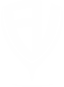 logo fv 04